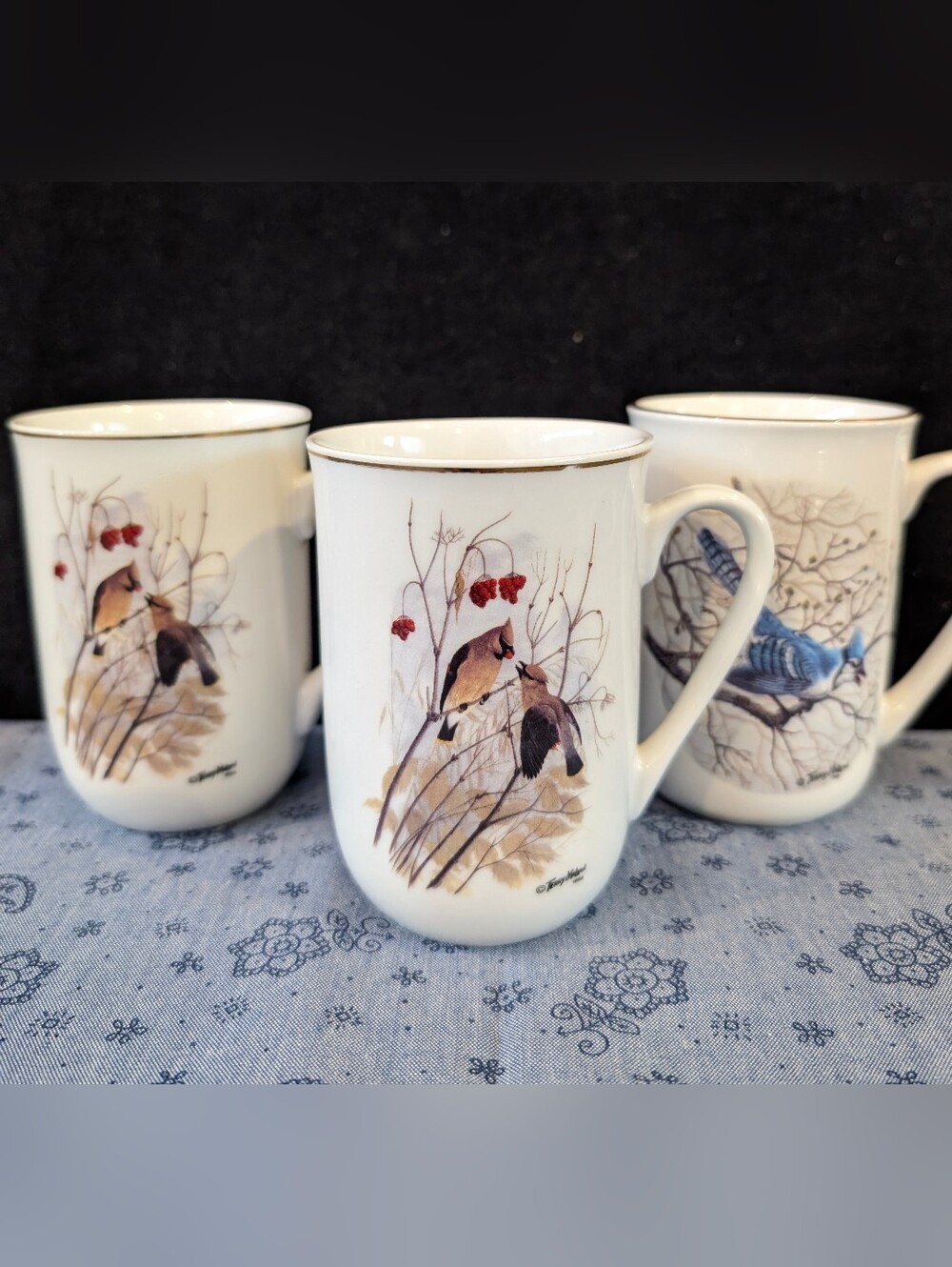 Vintage Bird Coffee Mugs by Canadian Artist Terry Mclean, Viletta Canada